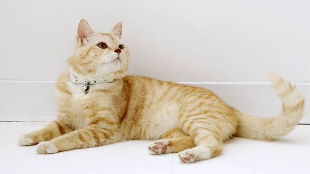 firmy wykończeniowe Piła