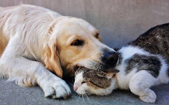 biuro podróży Pila