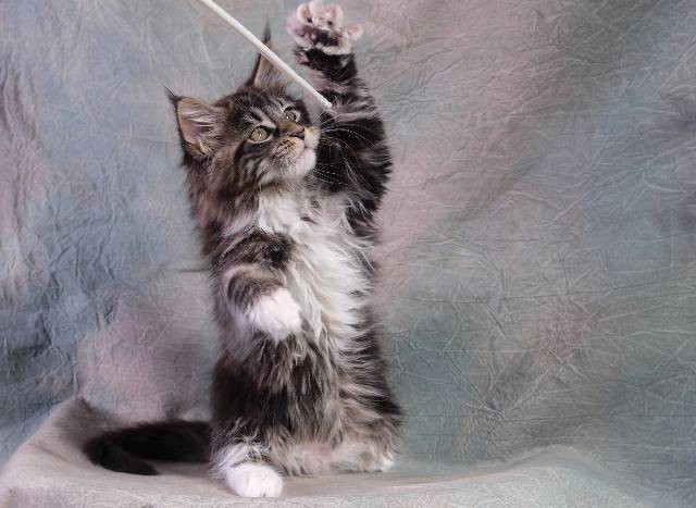 remonty mieszkan Pila