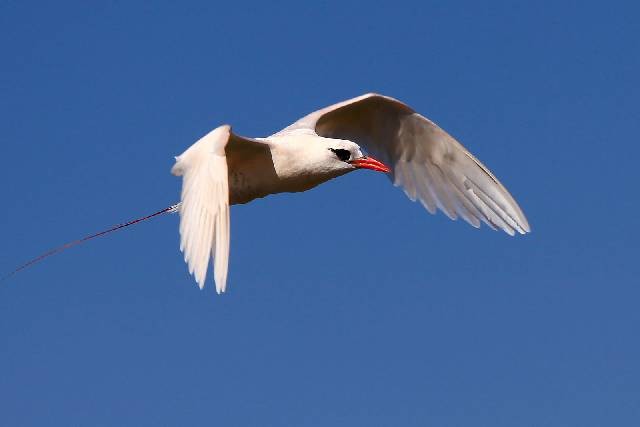 biuro turystyczne Piła biuro turystyczne Piła