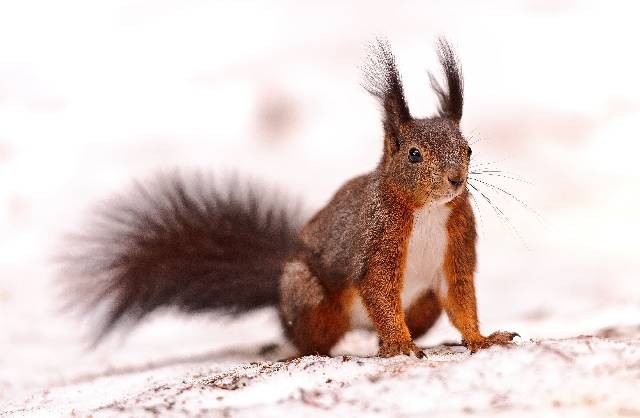 usługi wykończeniowe Piła