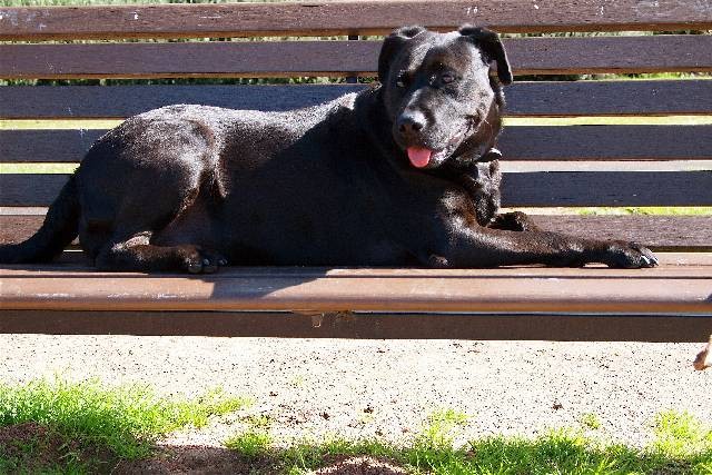 biuro podróży Pila