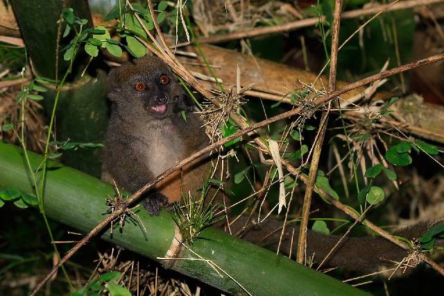 biura podróży Pila