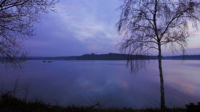 tapety ścienne sklep internetowy