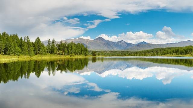 usługi remontowe w Pile
