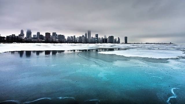 tapety ścienne modne