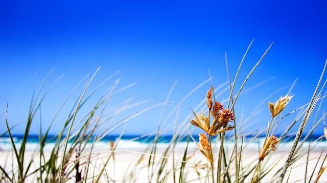 biuro podróży Piła