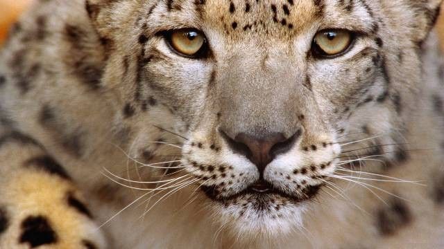 tapety ścienne sklep internetowy