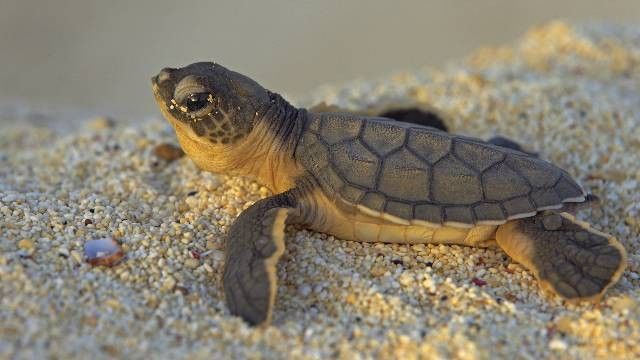 usługi remontowe Piła