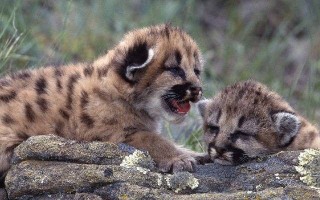 Pila biuro turystyczne