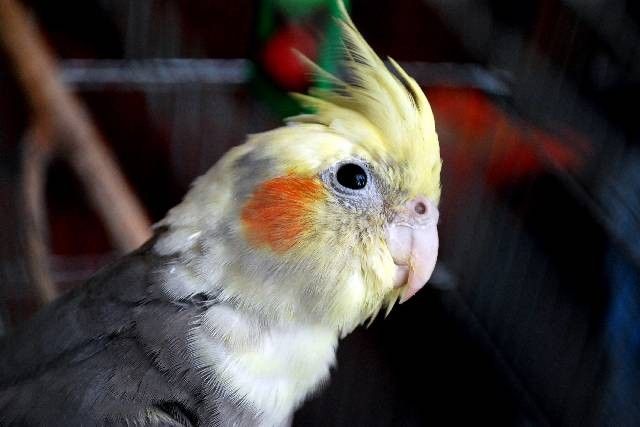 biuro podróży Piła