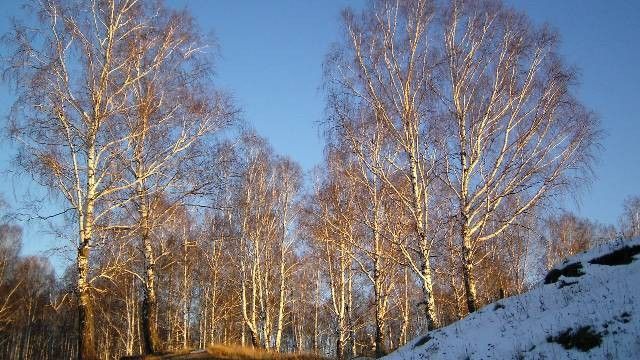 biuro podróży Piła
