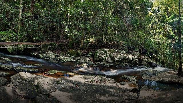 ekskluzywne torebki skórzane